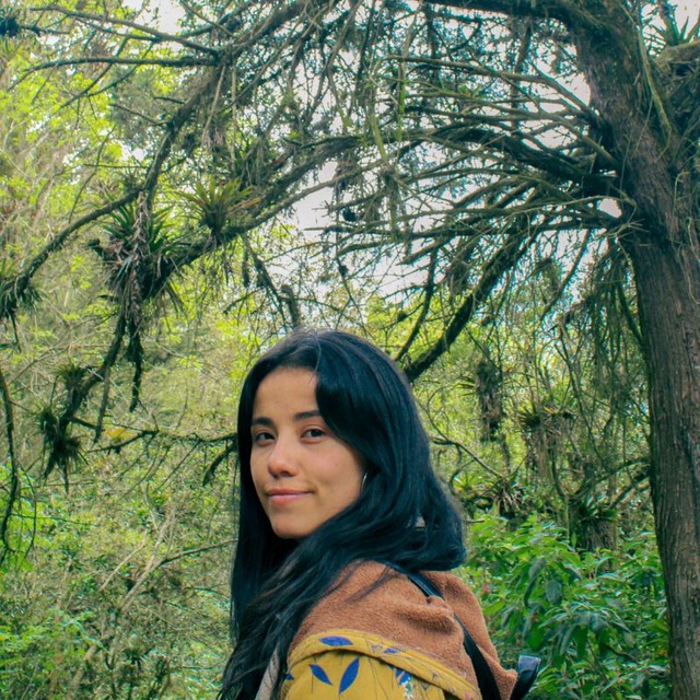 imagen alusiva a Dana